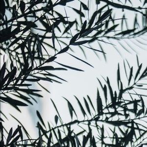 Meet your Posher, Ryland